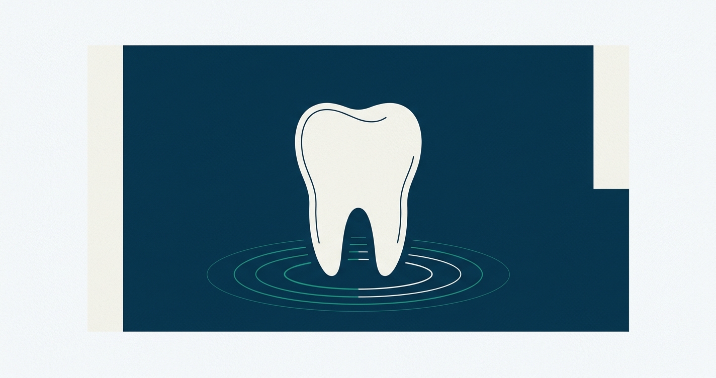 Dental Crowns in China: Zirconia vs PFM vs E-max