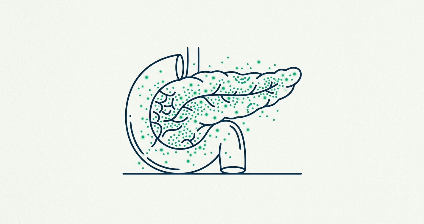 Diabetes Stem Cell Therapy: How Beta Cell Regeneration Works