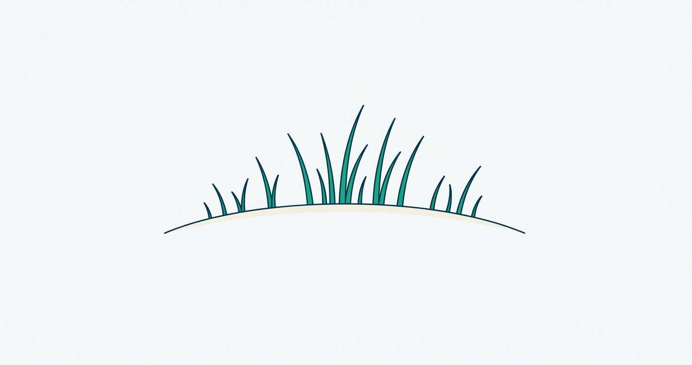 Hair Transplant in China: FUE, DHI and Sapphire Compared
